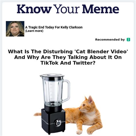 twitter kat in blender|What Is The Disturbing Cat Blender Video And Why Are They。